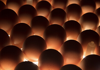 Biyapay-安全支付工具