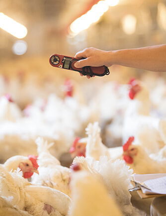 Biyapay-安全支付工具