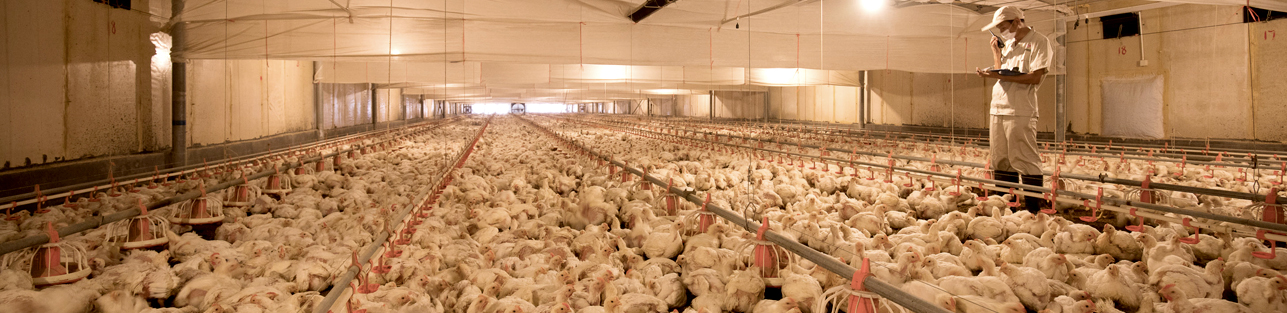 Biyapay-安全支付工具