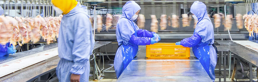 Biyapay-安全支付工具