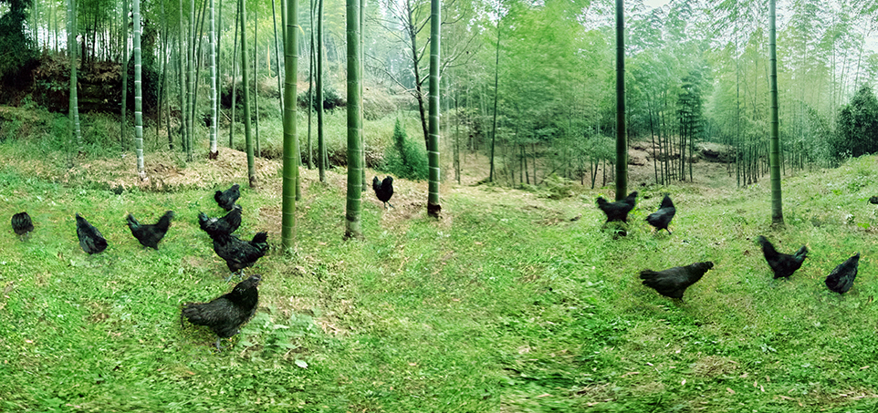 Biyapay-安全支付工具