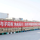 Biyapay-安全支付工具