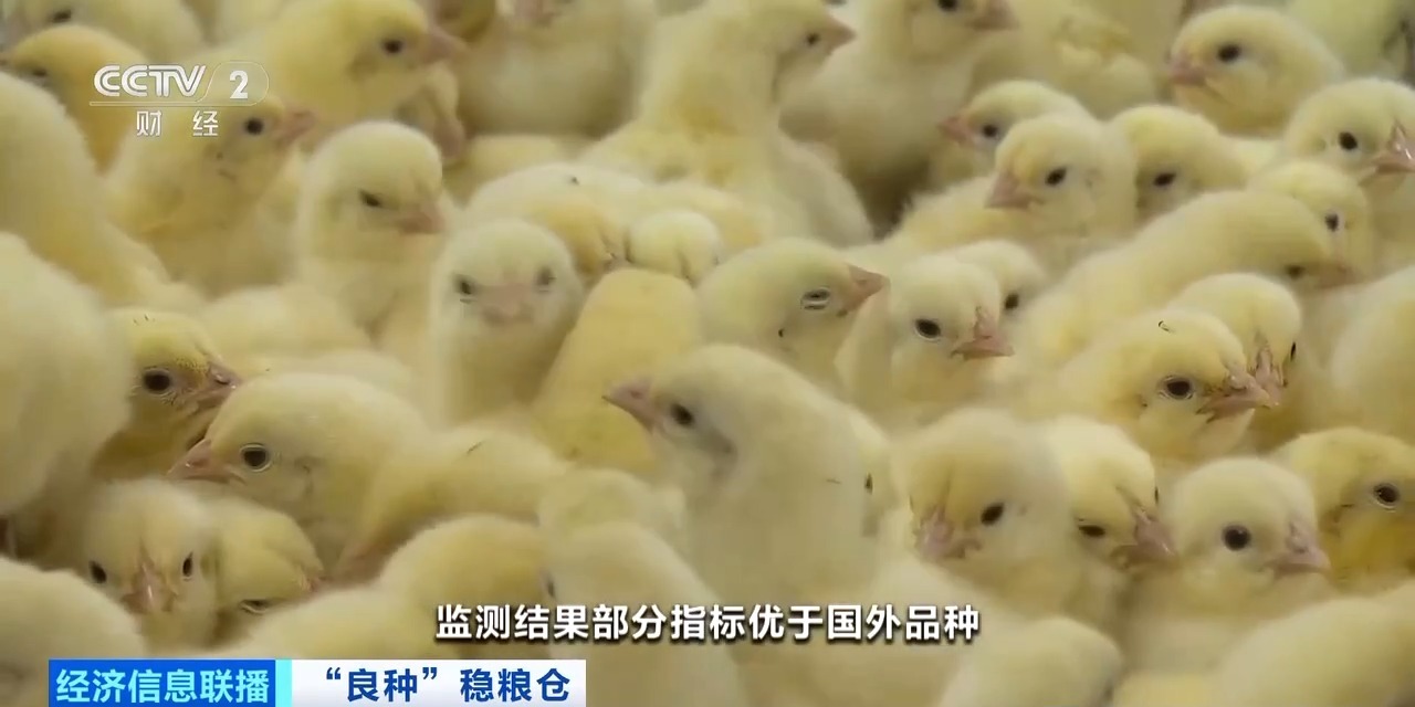 Biyapay-安全支付工具