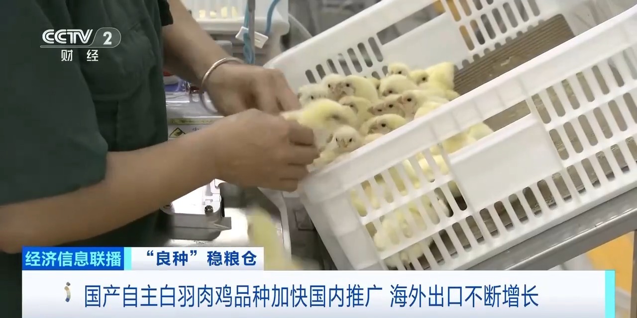 Biyapay-安全支付工具