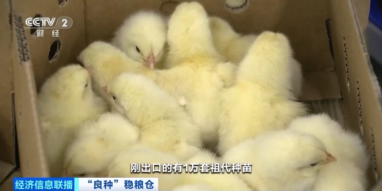 Biyapay-安全支付工具